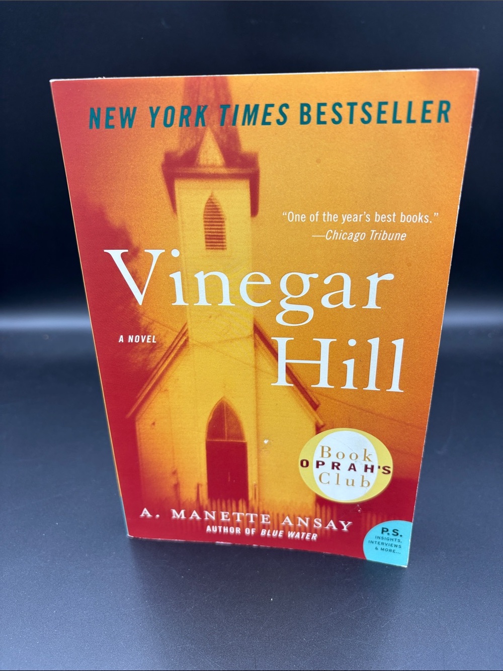 Vinegar Hill by A. Manette Ansay - Orange Paperback Novel
